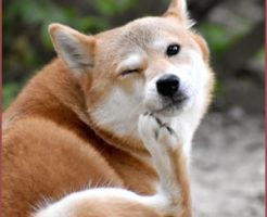 体を余計にかきむしる時の対処法