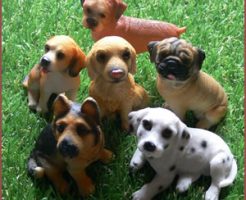 群れで行動するいぬの気持ちを理解しよう