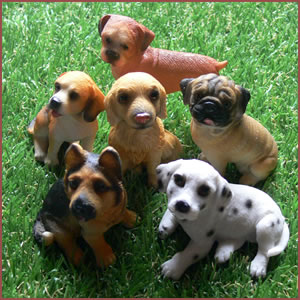 群れで行動するいぬの気持ちを理解しよう