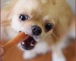 睡眠不足や食事不足も大きなストレスになる