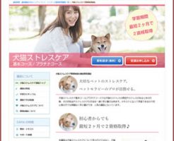 犬猫ストレスケア資格取得講座(SARAスクールジャパン)